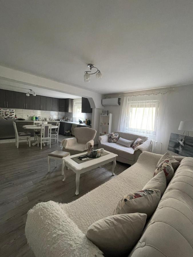 Antic Apartment Požarevac Екстериор снимка